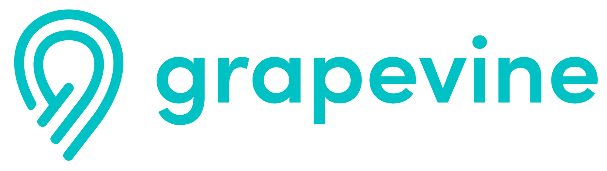 Grapevine_RGB_Linear
